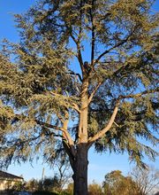 M.B.Elagage image 20