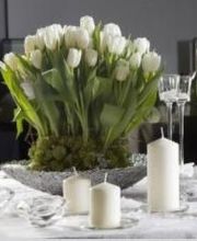 Rosavel la rose des vents image 1