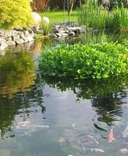 Bavaria Teichbau GmbH Bild 2