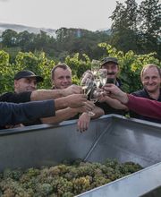 Weingut Scherr Bild 3