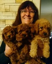 Elevage Des Jours Étoilés image 14