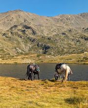 Les Sabots de Vénus image 10