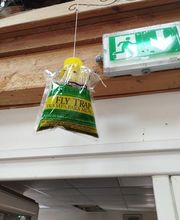 Tous Nuisibles Lorraine image 7