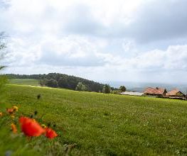 Pension Jodlbauer Bild 14