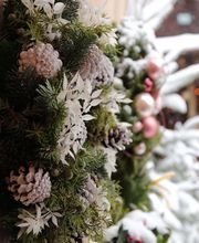 Christbaumverkauf Starnberg by J. Zwick Bild 12