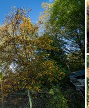 Andreas Regul immo-reutlingen.com Bild 8