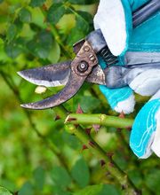 Zemp Gartenbau Bild 2