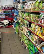 Qua la Zampa di Alessia Milani Termini Bild 6