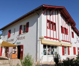 Antton image 7