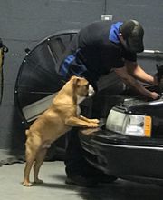 Trimax Car Care Center image 7