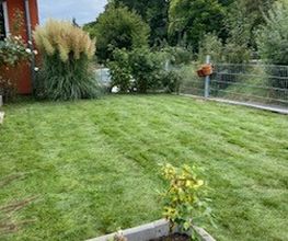 Haus- und Gartenservice - Mittelfranken Pavel Vostarek Bild 14