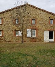 Poumeyrol Teddy image 5