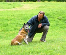 Hundeschule Wauschlau - Hundetrainer Hans Brings Hundetrainer Hans Brings – Gründer der Hundeschule Wauschlau seit 1998. Spezialist für verhaltensauffällige Hunde, lizenzierter LaKoKo-Trainer und anerkannter Hundesachverständiger mit langjähriger Erfahrung.