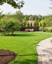 Theo Mazzetti image 1