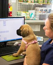 Highlands-Eldorado Veterinary Hospital image 4