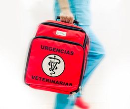 clinica-veterinaria-zarpa-urgencias-24h-4.jpg