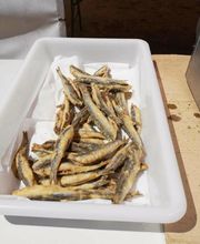 Paellas de Castilla imagen 18