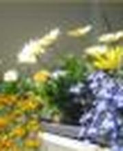 Eick & Kolbe GbR Bild 1