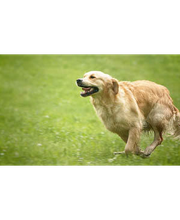 Dr. Hannes Kriegleder Bild 3