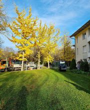Urban Münchner Baumpflege GmbH Bild 14
