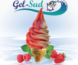 Gel Sud image 1