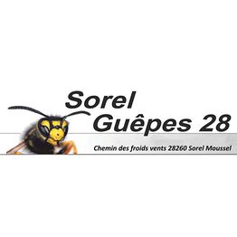 Sorel Guêpes 28