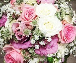 Fleur Holland Blumen Bild 2