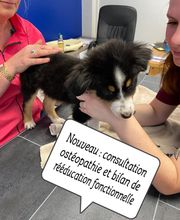 ReferVet Loire image 4