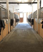 Reit- und Fahrstall Enderli Bild 9