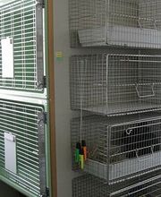 Kleintierpraxis Rüedi AG Bild 2