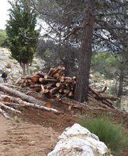 195098439-1-4PAluZ17Qc1782194877186.jpeg