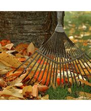 Initiatives Emplois image 3