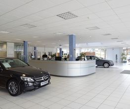 STERNAUTO Bild 3