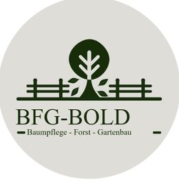 BFG Bold logo