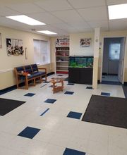 Monmouth Small Animal Hospital image 14