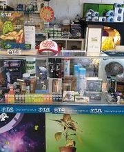 Jungle Paradise image 9