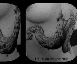 L'Oeil du Dragon image 2