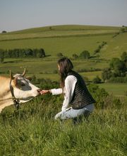Coopérative Fromagère Jeune Montagne image 6