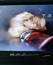 La Compagnie Des Déboucheurs image 10