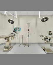 Middlesex Veterinary Center image 14