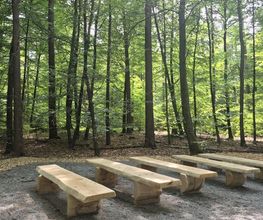 FriedWald Mainhardt Bild 1