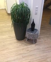 Maler Meister Betrieb  Cremer Bild 8