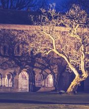 Abbaye de l'Escaladieu image 13