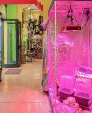 Black Duck Bazaar immagine 8