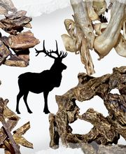 Hirscherei Meli Bild 8