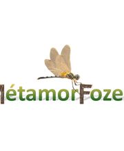 MétamorFozes - Bilan de Compétences -Coaching - Psychopraticienne - DISC - Formation - image 8