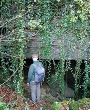 Thomas Romuald image 7