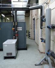 Guiot-Violette image 7