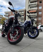 Die Fahrlehrer Bild 2