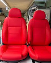 Sellerie Vigneulle image 6